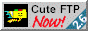 cuteftp2.6.gif (2976 octets)